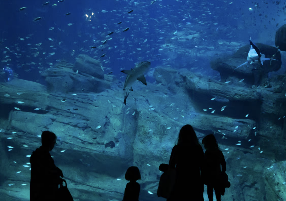 Aquarium Paris en familia